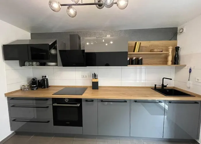 2 Mit Garten 卡尔斯鲁厄