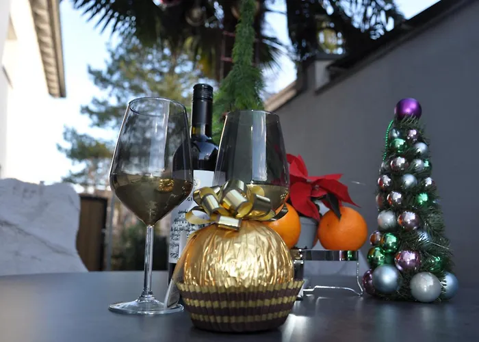 2 Mit Garten 卡尔斯鲁厄